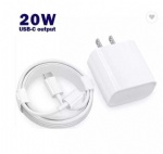 20W US/UK/EU Charger